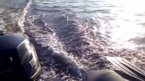 тохатсу 3.5 4 тактный и норвик 290