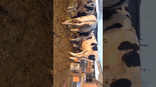 продажа город Екатеринбург смотреть онлайн