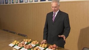Вкусовые качества картофеля.