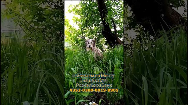 (Часть 20) активный отдых на природе, май 2022 Шашлык, природа, речка, Счастья
