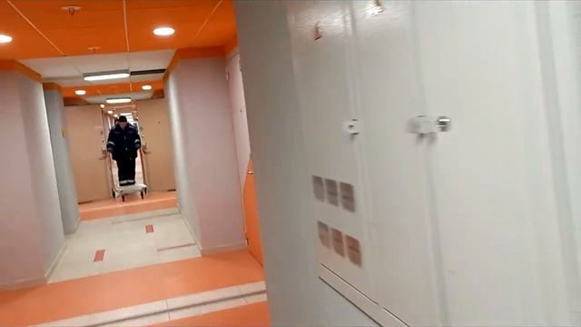 Питер Аренда в отеле Дешевле Старт