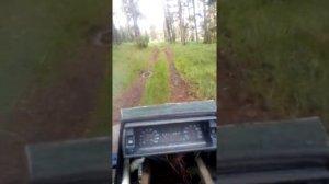 Самодельные квадроциклы из ВАЗ 2109.Лесная покатушка