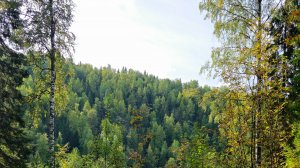 от Вижая до Валая р.Березовая