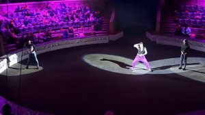 Клоун Влад Богданов , реприза « Лошадь» Ростовский государственный цирк , ФКП Росгосцирк 2021