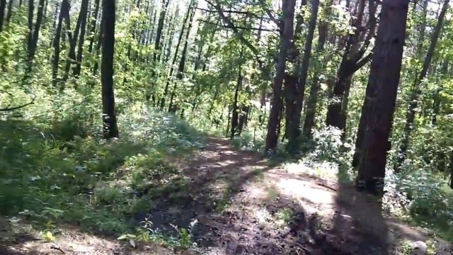 Что происходит, когда ломается велопетух Broken Derailleur Hanger смотреть онлайн