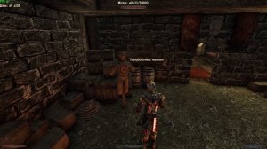 ДУАЛЫ или Парное Оружие Как работает Урон | Возвращение 2.0 НБ Готика 2