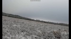 ЛИЦЕНЗИЯ ЗАКРЫТА!!! Охота на косулю. Часть 1