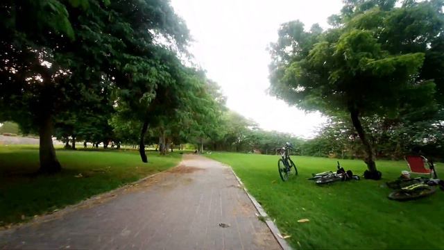 Fimi Palm Quality Test смотреть онлайн