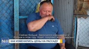 КАК ИЗМЕНИЛИСЬ ЦЕНЫ НА РАССАДУ