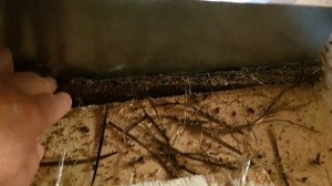 Как сделать проход трубы в потолке в парной.