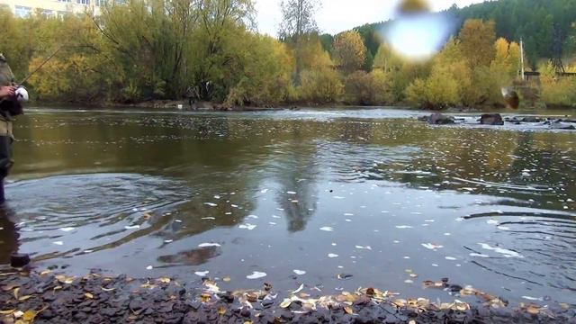 Поймали громадную щуку на лёгкий спиннинг