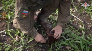 Проведение разминирования военнослужащими инженерных подразделений ЗВО в ходе СВО