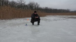 Хороший клев на новом лесном озере.Поймал щуку на жерлицы,окунь и плотва на мормышку.