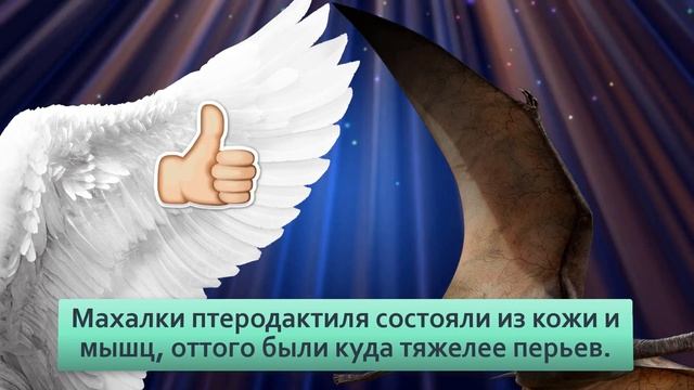 Птеродактиль Развеиваем мифы «Гигантский летающий ящер» на самом деле пуська размером с ворону. смотреть онлайн