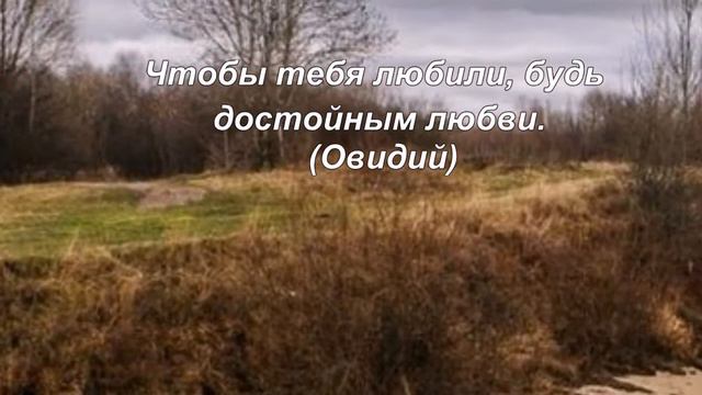 Цитаты известных людей про любовь // Высказывания и мудрые слова