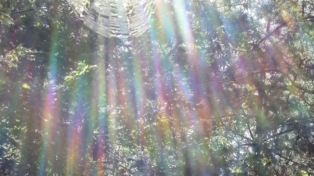 Чудо. Сочинение смотреть онлайн