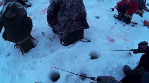 Ловля форели, Бисерово, зима