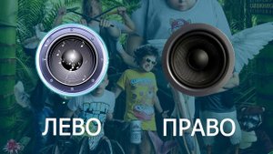 анакондаз проверили левый и правый наушник