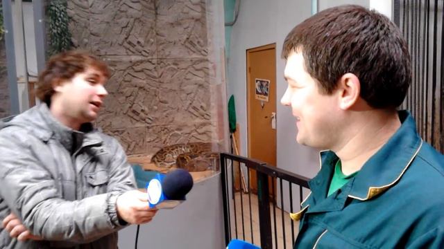 Сотрудник зоопарка в Самаре рассказывает про др ягуара смотреть онлайн