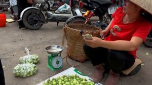 Harvest Life Harvesting Eggplants Go to the Market to Sell, Taking Care of Pets
