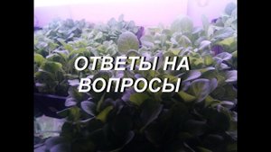 90 % ВОПРОСОВ - НА КАНАЛЕ УЖЕ ЕСТЬ ОТВЕТЫ .
