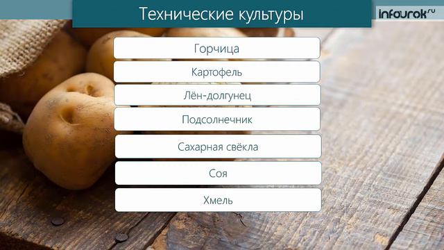 Сельское хозяйство. Растениеводство.