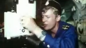 Гуляет красотка