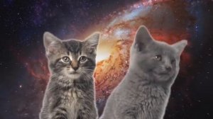 Песня мяу, мяу    часовая версия   Space Cats 1 hour version