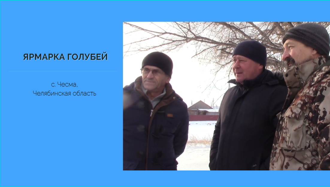 Ярмарка голубей _с. Чесма, 11.12.2021г.mp4