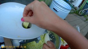 Вылуп цыплят, кабачковая икра на супер электро мясорубке