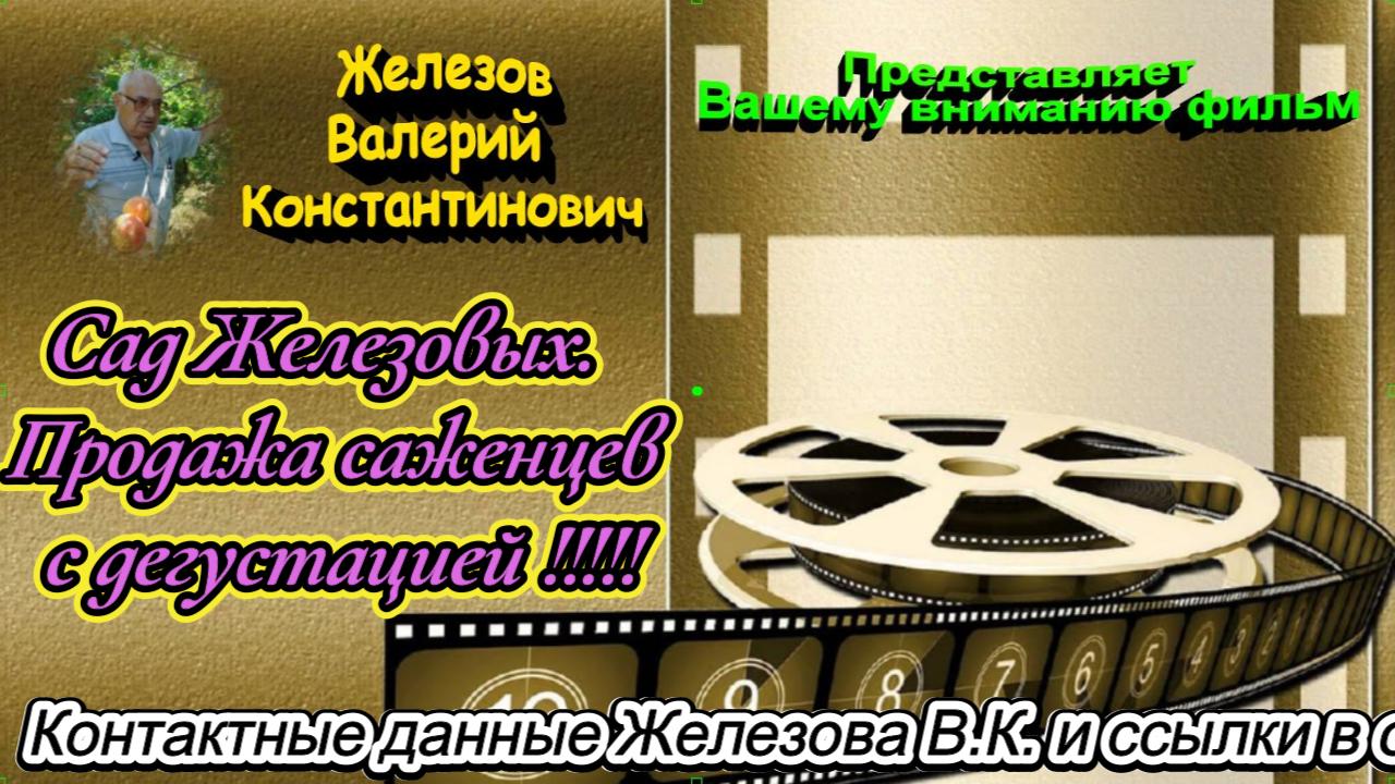 Сад Железовых. Продажа саженцев с дегустацией !!!!!