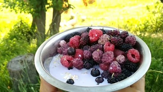 Завтрак, ради которого хочется просыпаться смотреть онлайн