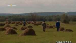 Особую тревогу по сенокосным кампаниям вызывает заготовка кормов на Севере республики