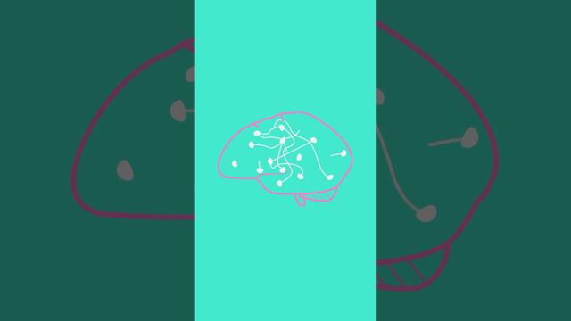 6 Часть Мозг и нейронные связи- анимация