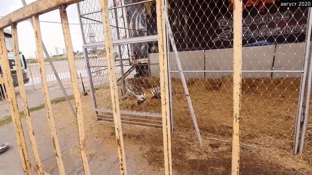 Первое знакомство с артистами Виталия Довгалюка смотреть онлайн