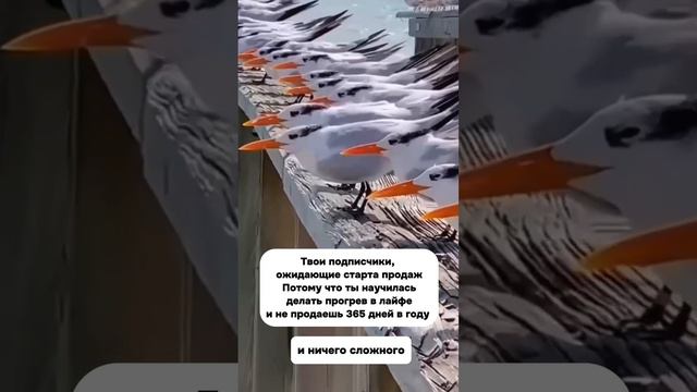 Когда перестала продавать 365 дней в году