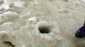 Как ловить Ротана со льда зимой, клев. Хорошая рыбалка в морозец.