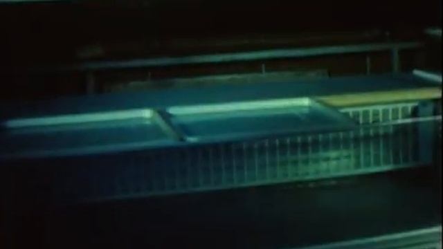 1991_0900 Очереди в магазинах СССР Москва Ленинград