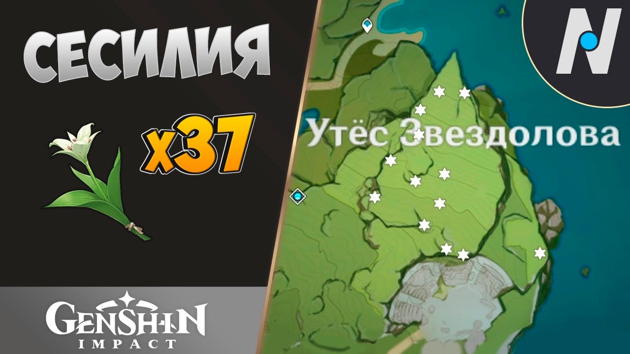 СЕСИЛИЯ - СБОР ВСЕХ. ЛУЧШИЙ МАРШРУТ | GENSHIN IMPACT