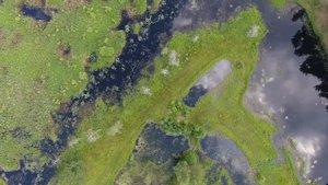 Летаем над поселком Пено(Часть 1, 2016)