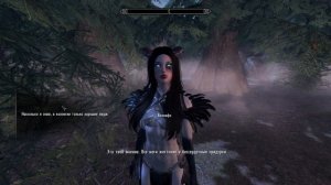 [Skyrim] {Моды на озвученных компаньонов}