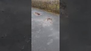 Отзыв о Ритуале «Открытие Дорог»