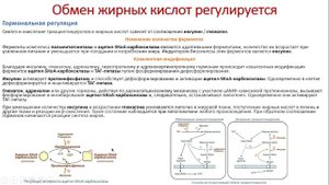 Биохимия. Лекция 58. Липиды. Обмен триацилглицеролов и фосфолипидов. Кетоновые тела. Жирные кислоты