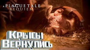 Глава 2 ЧУЖАКИ - A Plague Tale Requiem Прохождение