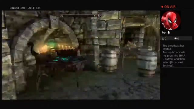 Got bored...: skyrim but modded too much