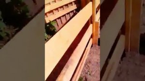 Раскол для овец