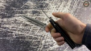 Сравнение Ti-Lite 4 и Ti-Lite 6 от Cold Steel