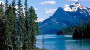 Niyameddin Musayev - Muğam