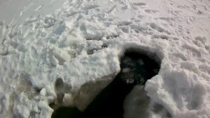 РЫБА ИДЁТ ПРЯМО В РУКИ!!! Рыбалка на тягу!