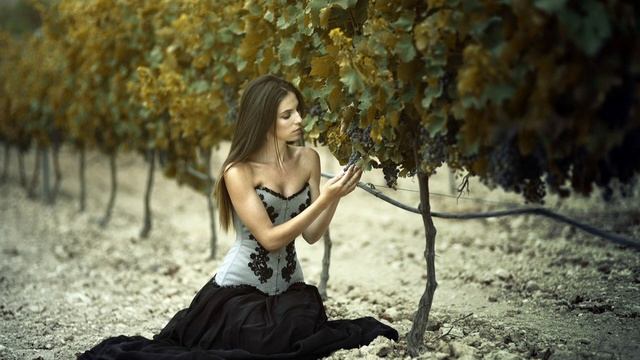 monotonic - Galaxy !!! Music for relaxation (Музыка для отдыха) смотреть онлайн